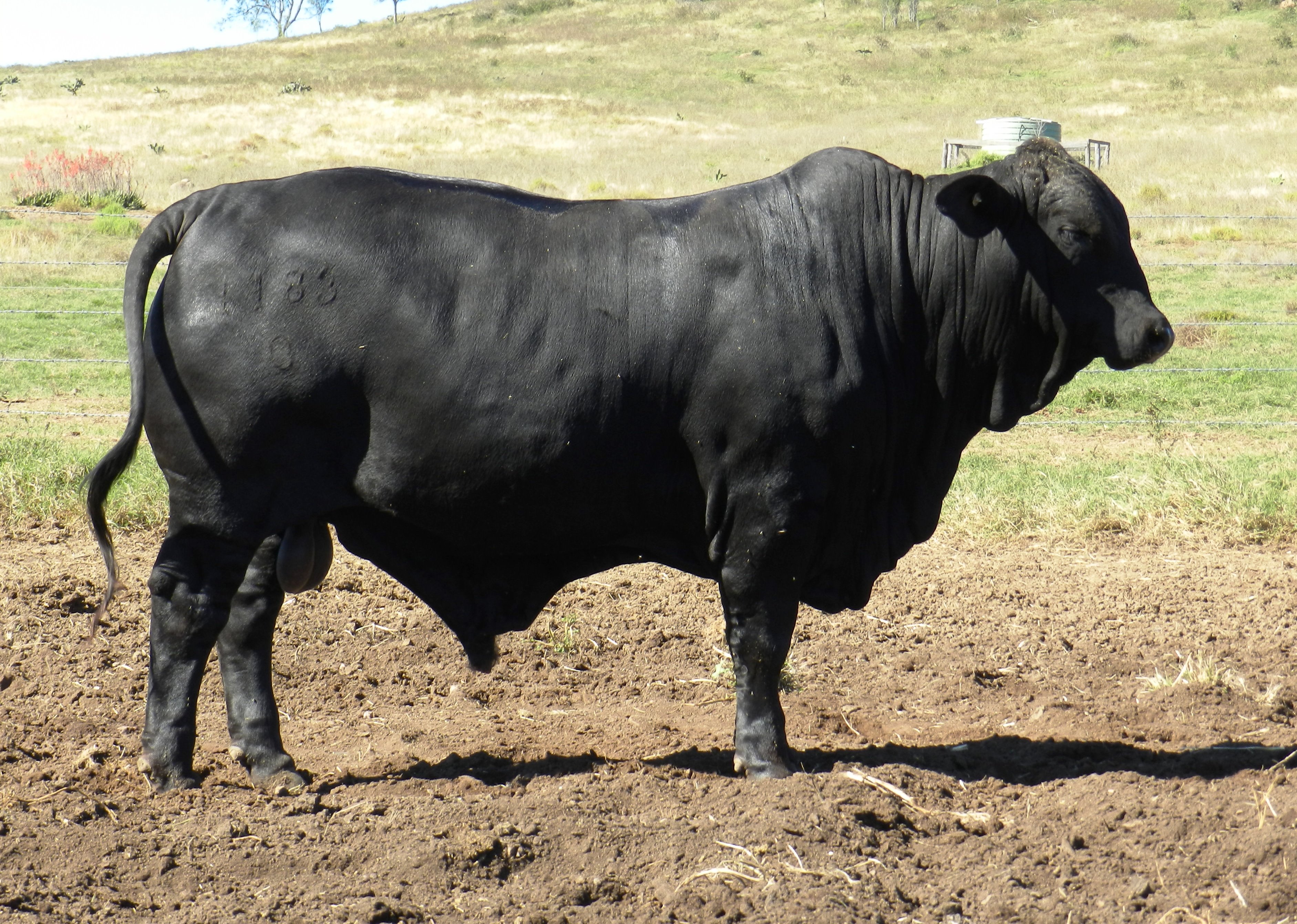 Elara Chrome at 22mths